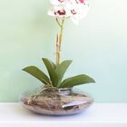 Arranjo De Orquídea Artificial Tigre No Vaso Vidro | Formosin